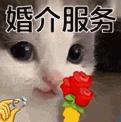 DƬ